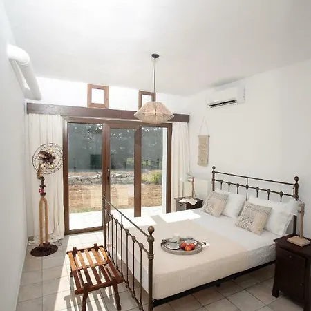 Paros Camares Sunwine Holiday home Naousa (Paros)